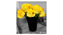 Load image into Gallery viewer, Camasker for Ring Camera | Hide Your Ring Stick Up Cam & Ring Indoor Cam